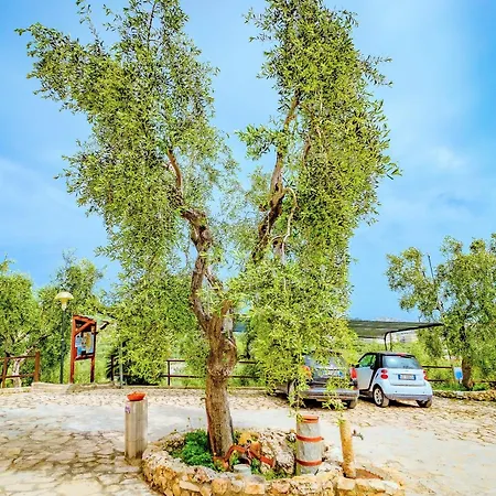 Mapa - Lorusso Vieste