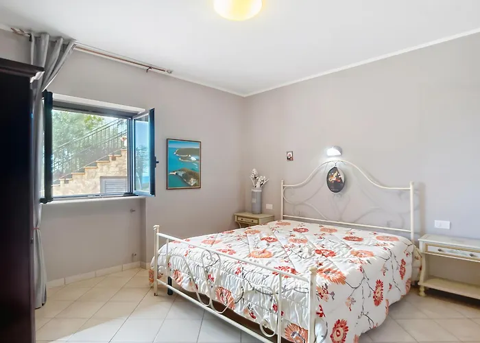 Mapa - Lorusso Daire